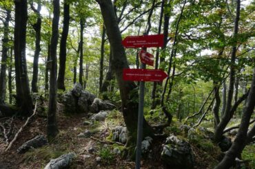 Golaki hike, Photo credit R. Zdravko Rajko, 2025