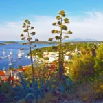 Osunčani Hvar-agava.Foto@M.R