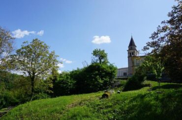Beram, zelena okolica, green