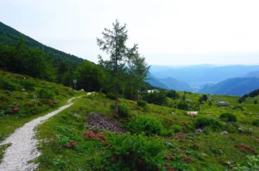 Vogel, koča na planini Razor