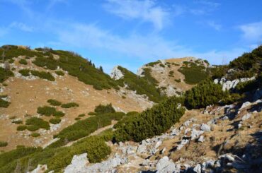 Pogled prema vrhu Debela Peč, viewpoint Debela Peč
