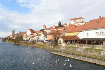 Ptuj, pogled sa Drave