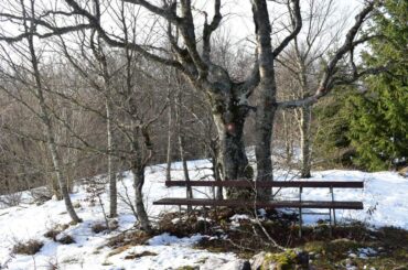 Male Polane - Črmužev vrh, klupica na vrhu.