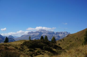 Col di Lana, Dolomiti, planinarenje tišinom, planinska vegetacija. Foto Zdravko Rajko