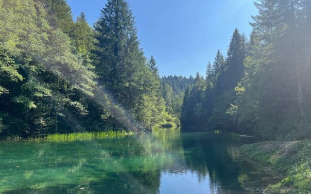 Mačjansko jezero, Moravice
