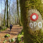 Opatijska obilaznica, na stazi. Foto D.