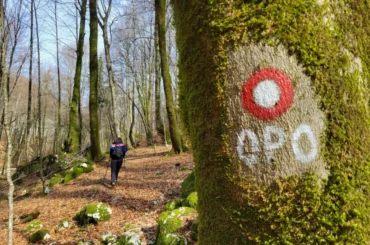 Opatijska obilaznica, na stazi. Foto D.