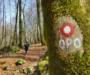 Vikend na Opatijskoj planinarskoj obilaznici: između koraka, vidika i mora  