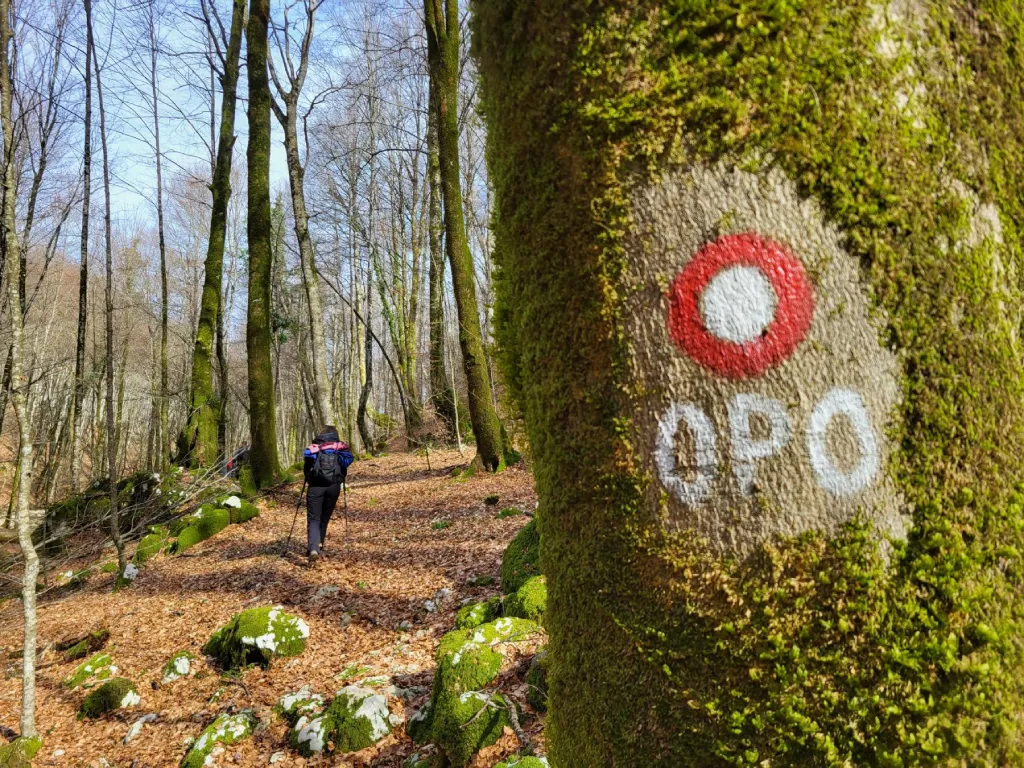 Vikend na Opatijskoj planinarskoj obilaznici: između koraka, vidika i mora  