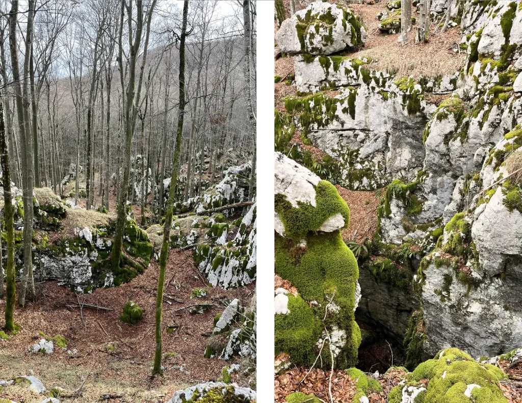 Opatijska obilaznica, okolica Brložnika. Foto Z.R.