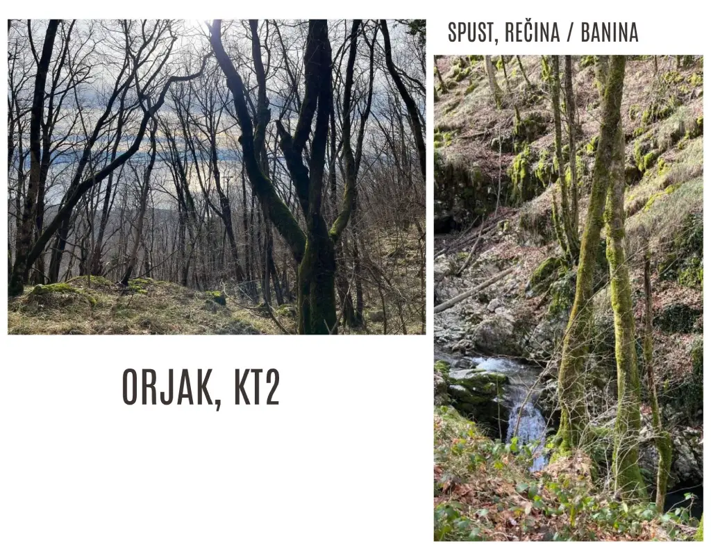 Opatijska obilaznica. Orjak, KT2. Foto Z.R.