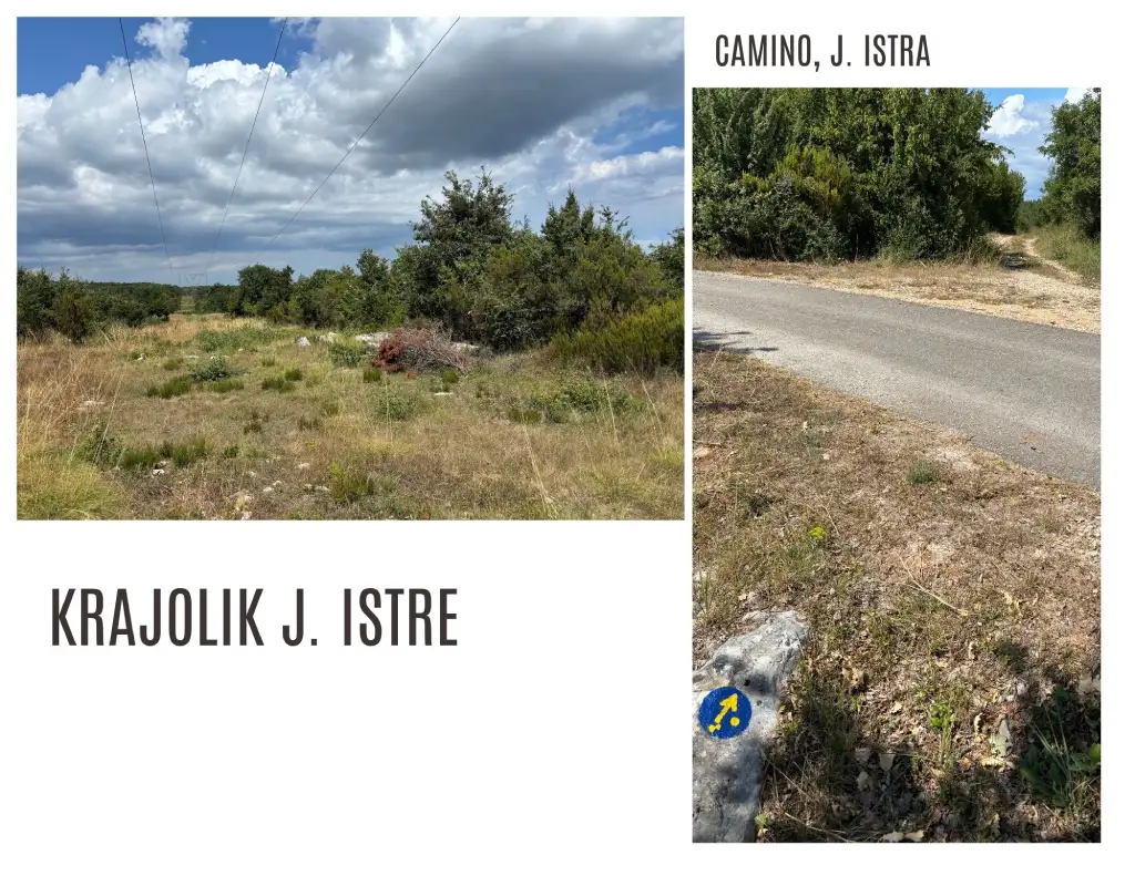 Ljubićeva pećina, krajolik J. Istre. Foto Z. Rajko