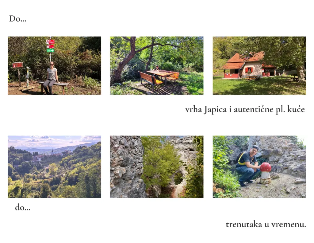 Cesargradska gora, detalji. Foto Jasna J. Zdravko R.
