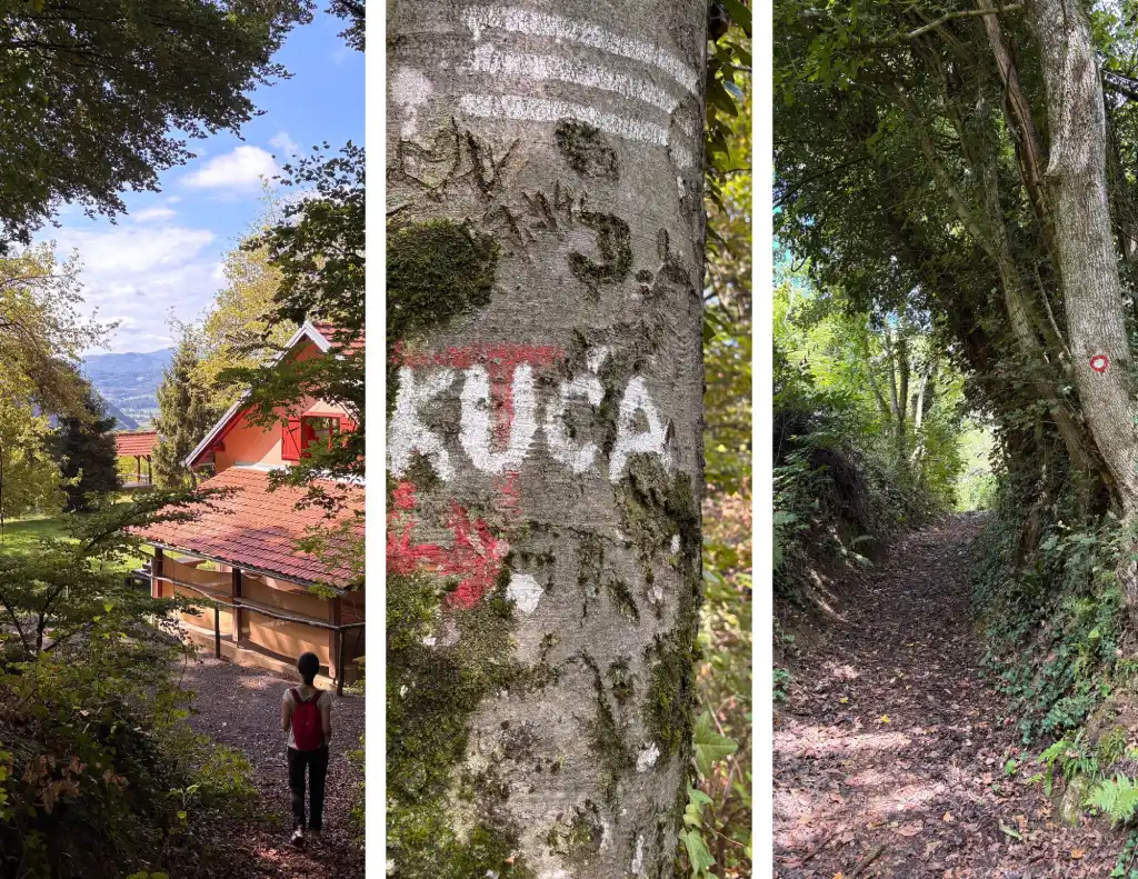 Cesargradska gora, prema vrhu i pl. kući Cesargrad. Foto Zdravko R.
