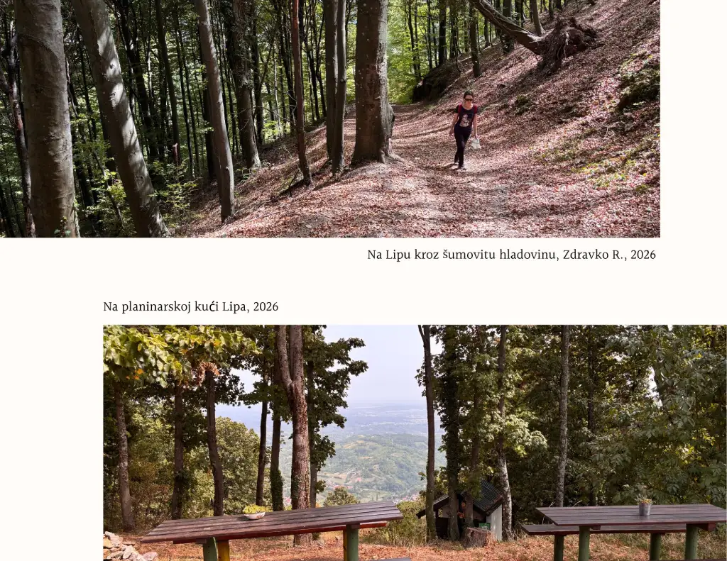 Lipa, kroz šumu do planinarskog doma Lipa. Foto Zdravko R.