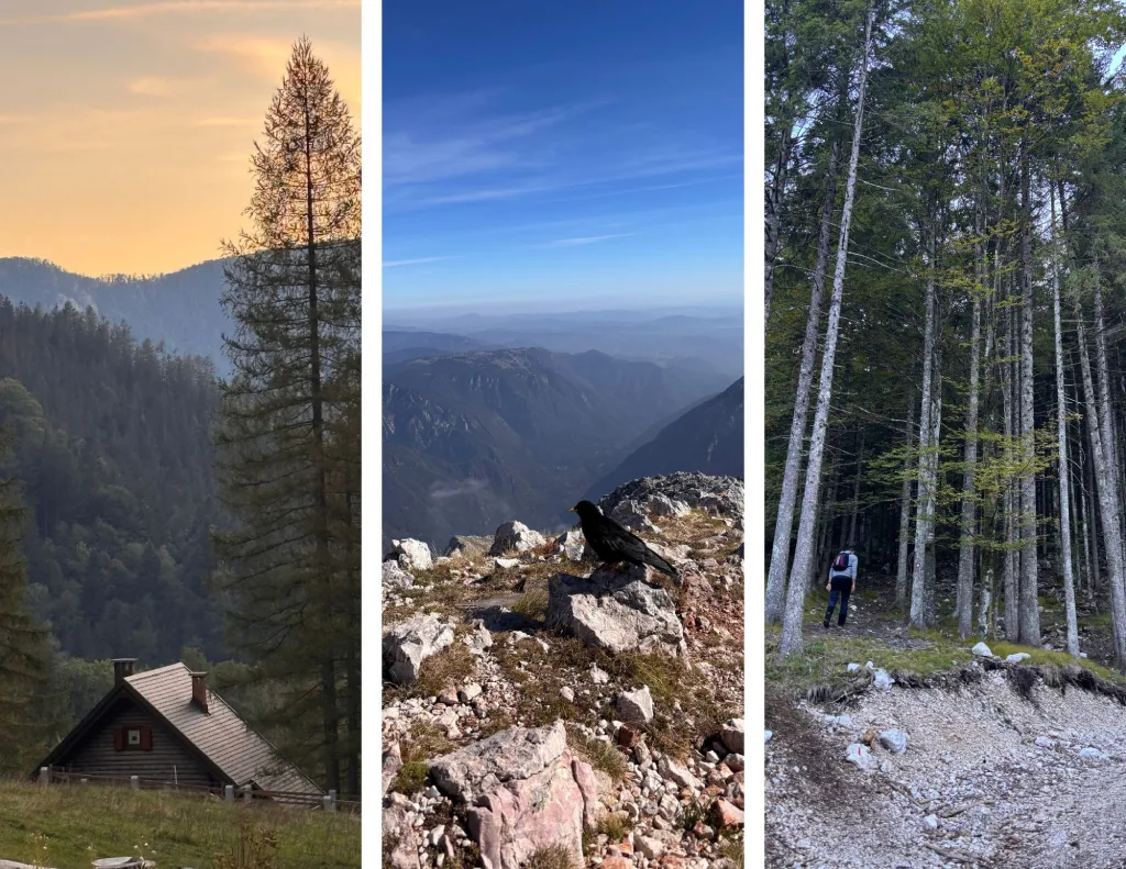 Grintovec 3, Od Suhadolnika prema gore. Foto Zdravko R.
