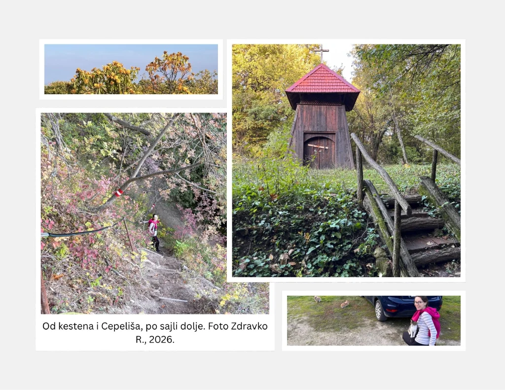 Hrastovička gora, od vrha do sv. Duha. Foto Zdravko R.