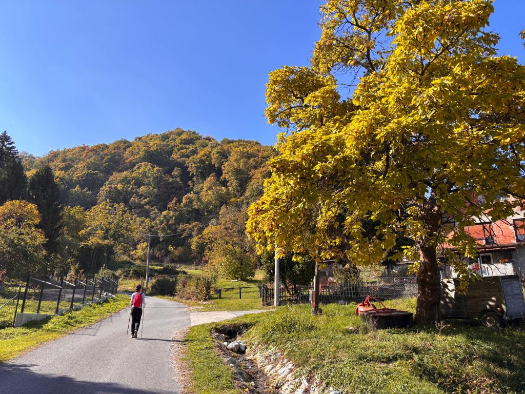 Hrastovička gora, prema gore iz sela Hrastovica. Foto Zdravko R.
